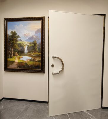 RF Leakage Prevention Door for MRI Shielding Projects