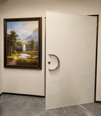 Industrial RF Shielded Door with ≥100dB Shielding Performance