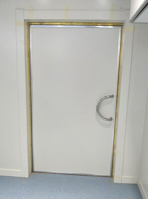 Factory Price RF Shielded Door for MRI Room Construction 1.2m*2.1m